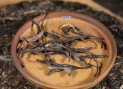 2024年10月1日最新松树皮价格行情走势查询