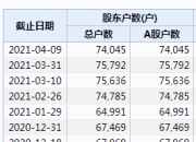 ST春天：子公司被罚130万元