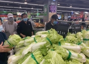 中国大白菜行业深度调研与发展趋势预测 韩国大白菜供应紧张 价格走高以及随后出现限购现象_人保伴您前行,人保财险 