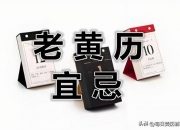 2024年10月7日今日松树皮价格最新行情走势