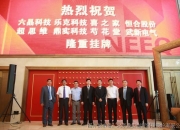 新三板创新层公司羲和网络新增著作权信息：“索菲娅”