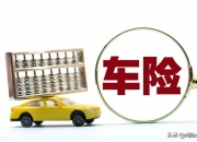 人保车险   品牌优势——快速了解燃油汽车车险,拥有“如意行”驾乘险，出行更顺畅！_2024年制图软件行业竞争格局及未来发展趋势分析