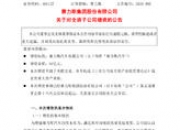 赛力斯披露总额2.4亿元的对外担保，被担保方为赛力斯汽车有限公司