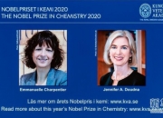 新华社快讯：瑞典皇家科学院9日宣布，将2024年诺贝尔化学奖授予三名科学家，以表彰他们在蛋白质设计和蛋白质结构预测领域作出的贡献