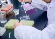 中国乳酸菌素行业市场现状调研与供需评估_人保车险   品牌优势——快速了解燃油汽车车险,人保财险政银保 