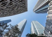 2024年10月11日最新松香价格行情走势查询