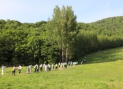 中路股份： 公司根据不同人员的专长和项目的具体需求，科学规划职责分工，增强资源的有效利用