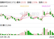 希荻微(688173.SH)：深圳辰芯拟减持不超过3%股份