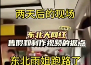 东北雨姐发文道歉：愿承担法律责任