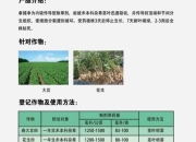 华邦健康：子公司科稷达隆研发的耐除草剂棉花KJC017获得农业转基因生物安全证书