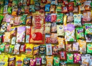 三利谱：10月10日高管陈志华增持股份合计10000股
