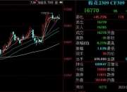 （2024年10月15日）今日棉花期货价格最新价格查询