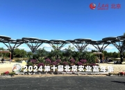 2024北外滩国际航运论坛将于10月22日开幕 预计线下参会人数约4000人次