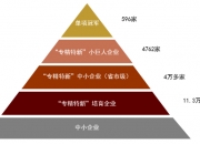 新三板创新层公司递家物流新增软件著作权信息：“货物运输车辆调度集成软件”