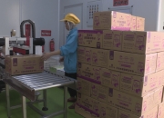 宝立食品：10月14日高管马驹增持股份合计5000股