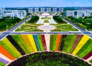 保险为自动驾驶系上“安全带”