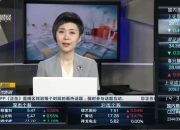 宝立食品：董事拟以500万元至550万元增持公司股份