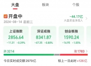 国债期货午后全线下跌