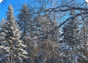 漠河最大积雪深度19厘米