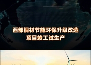 华资实业(600191.SH)：黄原胶项目投入试生产