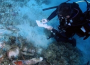 中国水下考古经历从无到有、从弱到强——唤醒沉睡海底的历史瑰宝