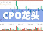 腾景科技（688195）2024年三季报简析：营收净利润同比双双增长，公司应收账款体量较大