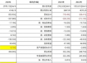 国投电力(600886.SH)：2024年度向特定对象全国社会保障基金理事会发行A股股票申请获得上交所受理