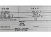 拥有“如意行”驾乘险，出行更顺畅！,人保护你周全_光芯片行业市场调查分析2024：广东加快推动光芯片产业发展