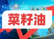 10月23日菜籽油期货持仓龙虎榜分析：多方进场情绪强于空方