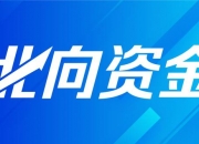 双星新材：预计上半年净亏损1.65亿元-1.75亿元