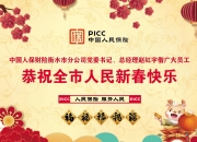 人保伴您前行,人保财险 _2024数字政府建设行业市场规模及发展现状分析