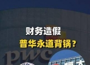 让财务造假者感到“肉疼”