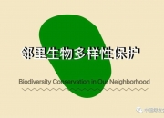 从生物多样性保护到再造一个“绿色中国石油” 中国石油大力推动绿色低碳发展