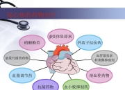 理邦仪器获得发明专利授权：“心室纤颤的检测方法、装置及监测设备”