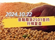 2024年11月21日豆粕报价最新价格多少钱