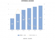中科软新注册《因公护照业务系统V1.0》项目的软件著作权
