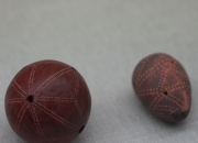 距今2.6万年至1万年左右 广西尖山遗址的石制品长啥样？