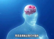 航天信息获得发明专利授权：“一种涉及多系统交互接口的自动化测试方法及装置”
