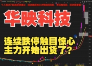 华映科技：将母公司部分模组产线转让给全资子公司