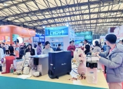 11月28日广博股份涨停分析：跨境电商，创投，网红/MCN概念热股