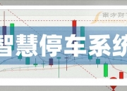 保险有温度,人保有温度_2024年智慧停车行业前景预测及产业链结构