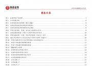 松霖科技获得发明专利授权：“自动出溶液美容仪”
