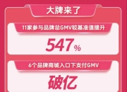 保险有温度,人保财险 _直播电商行业市场运营格局分析与投资盈利预测研究 抖音辟谣