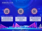 人保车险,人保财险政银保 _2024年中国汽车芯片行业的市场发展现状及投资风险分析
