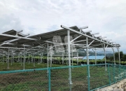 三峡能源获得实用新型专利授权：“抗风光伏支架”