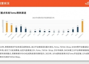 2024年中国电商平台行业市场发展现状调研分析_人保伴您前行,人保服务