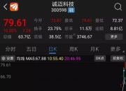 半导体板块快速反弹 晶方科技涨停