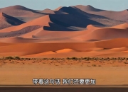头部餐企加码千亿儿童餐赛道 探索第二增长曲线