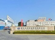 腾远钴业：拟投建年产5000吨电钴产品技术改造升级项目