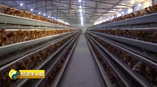 兰州黄河：截至2024年7月31日，公司股东总户数23416户，机构总户数1274户